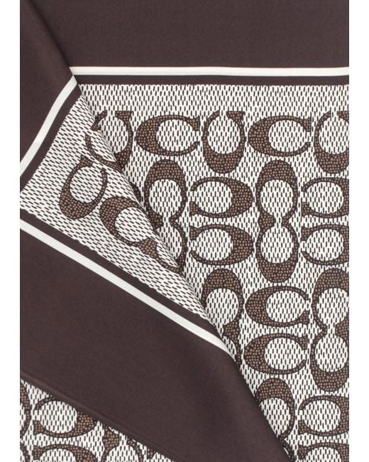 COACH Brown Textured Signature Print Maple Silk Scarf
