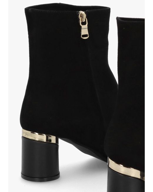 Daniel Penelope Black Suede Gold Trim Heeled Ankle Boots