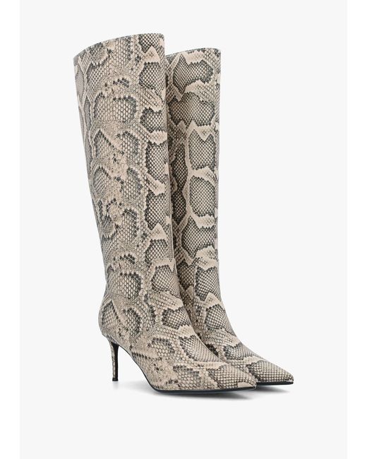 Daniel White Saffia Leather Reptile Slim Heel Knee Boots