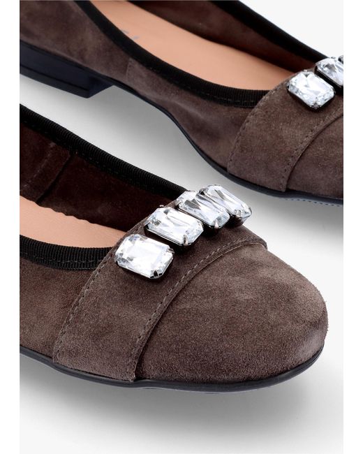 Daniel White Linky Grey Suede Embellished Ballet Pumps