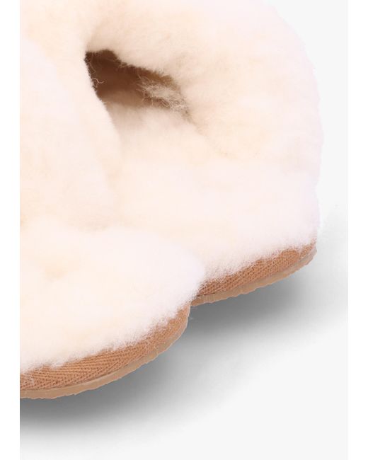 Daniel White Soleo Leopard Calf Hair Sheepskin Twinface Slippers