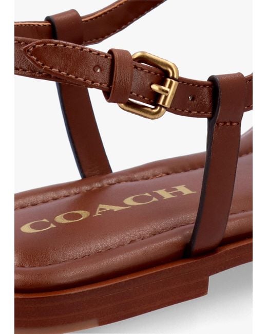 COACH Brown Jessica Saddle Leather Toe Post Sandals