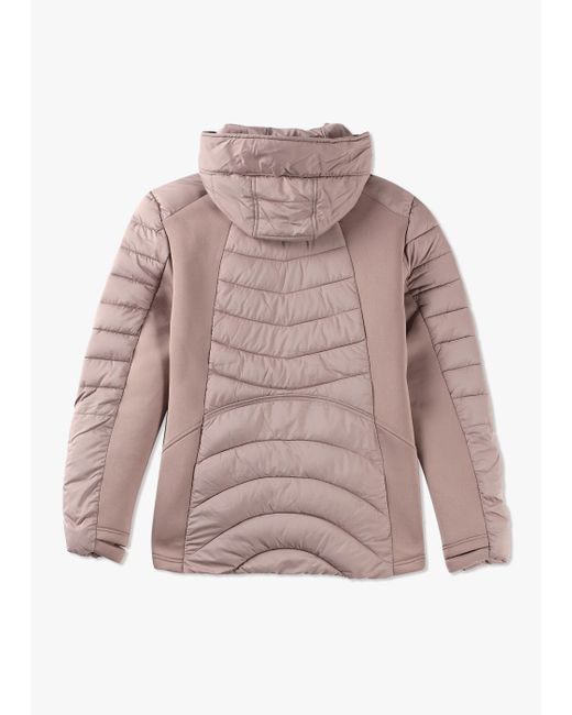 Daniel Footwear Multicolor Quilted Taupe Padded Hooded Jacket