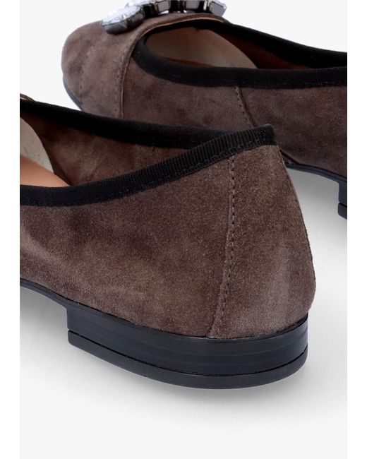 Daniel White Linky Grey Suede Embellished Ballet Pumps
