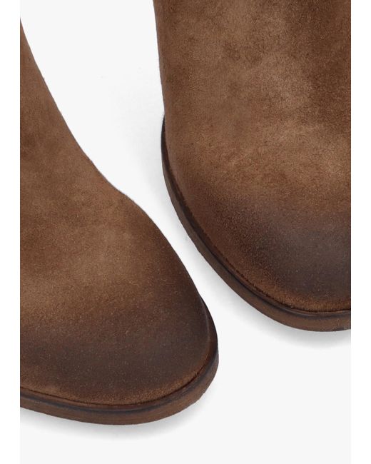 Daniel Brown Giddy Taupe Suede Buckle Block Heeled Ankle Boots