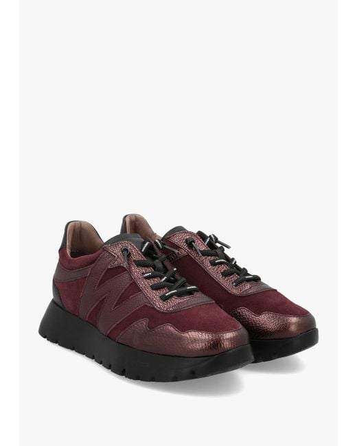 Wonders Brown Odisei 110 Burgundy Metallic Leather & Suede Trainers