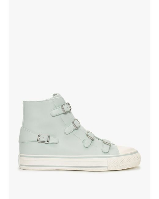 Ash Multicolor Virgin Misty Blue Leather Buckled High Top Trainers