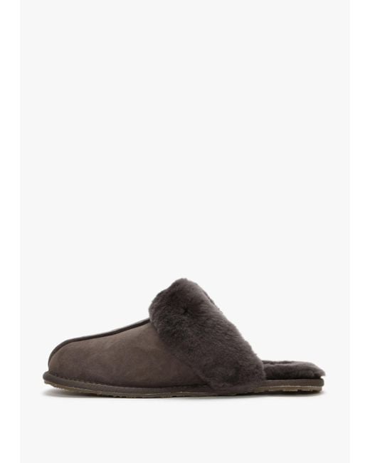 Australia Luxe Brown Double-face Sheepskin Closed Mule Slippers