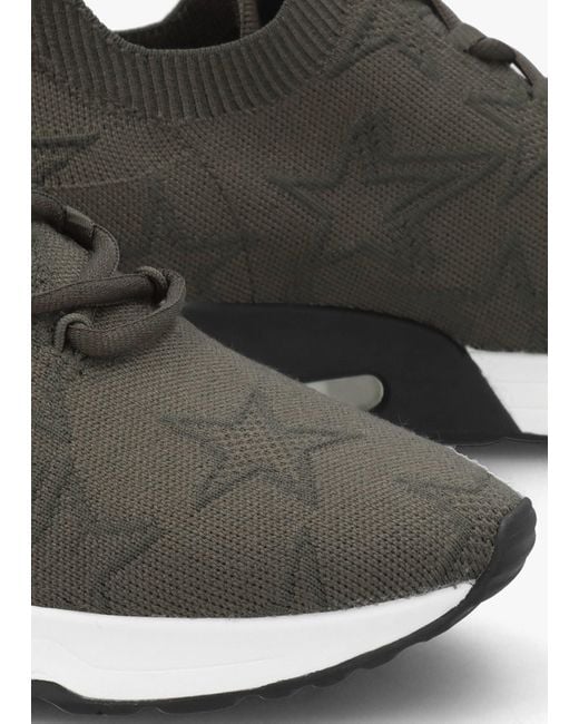 Ash Multicolor Lucky Star Military Aviator Knitted Trainers