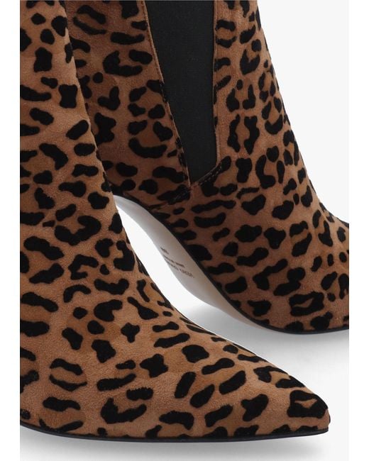Daniel Brown Adril Suede Leopard Ankle Boots