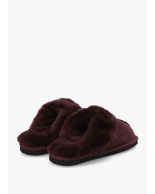 Daniel Red Shut Burgundy Sheepskin Twinface Slippers