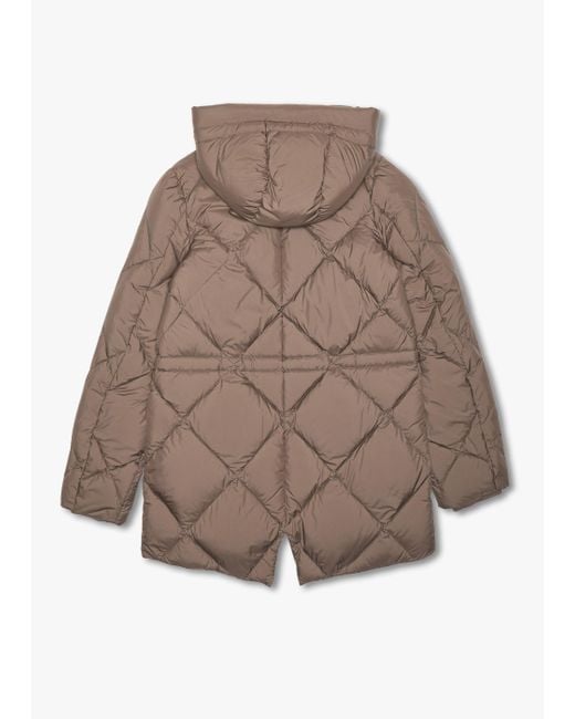Beaumont Organic Brown Luke Fungi Diamond Quilt Puffa Coat