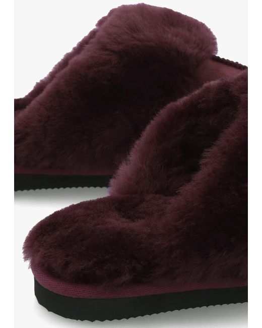 Daniel Red Shut Burgundy Sheepskin Twinface Slippers