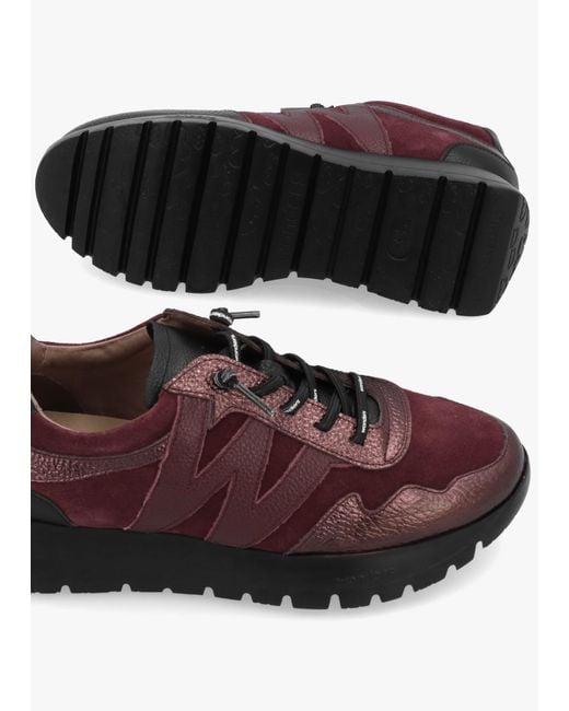 Wonders Brown Odisei 110 Burgundy Metallic Leather & Suede Trainers