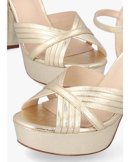 Daniel Metallic Avery Gold Platform Heeled Sandals