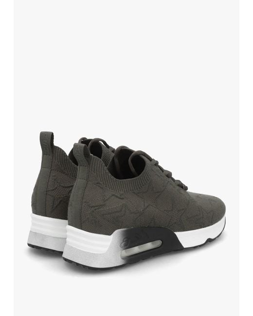 Ash Multicolor Lucky Star Military Aviator Knitted Trainers