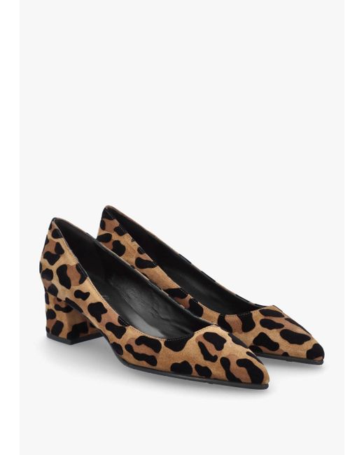 Luca Grossi Brown Leopard Suede Pointed Toe Block Heel Court Shoes