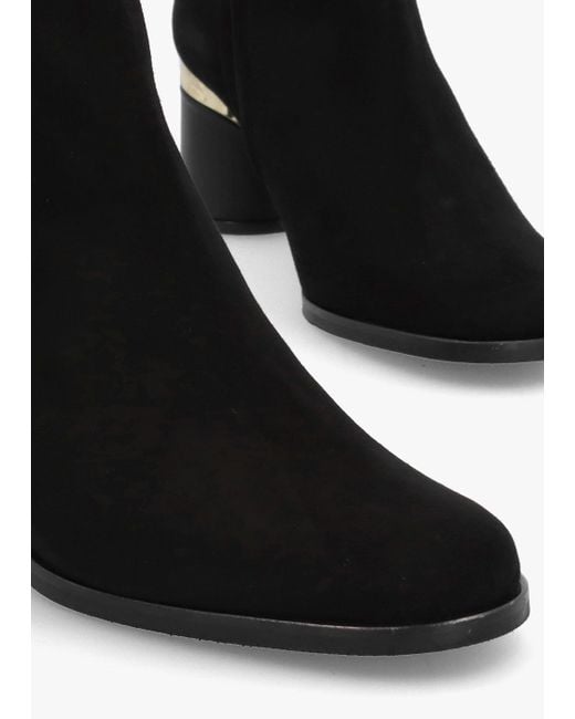 Daniel Penelope Black Suede Gold Trim Heeled Ankle Boots