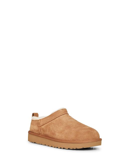 Ugg Brown Chestnut Classic Micro Mules