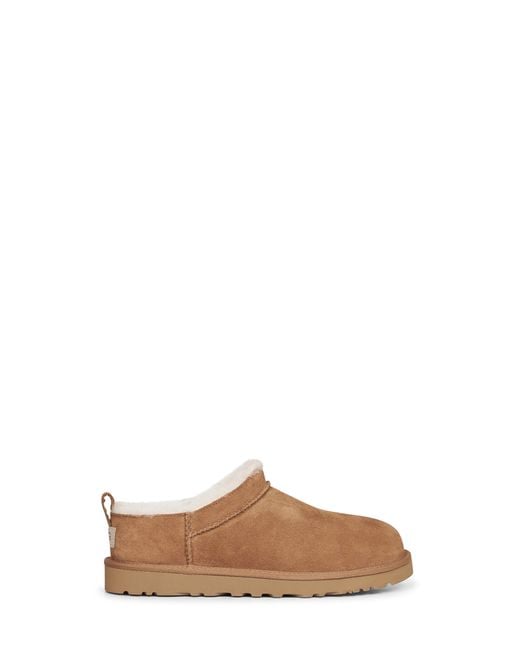 Ugg Brown Chestnut Classic Micro Mules for men
