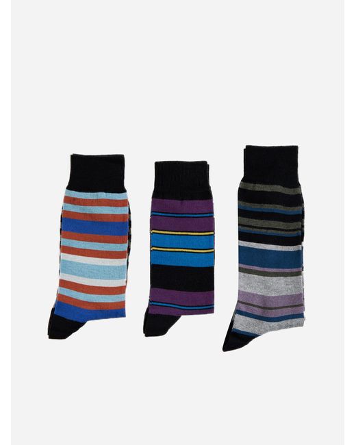 Paul Smith Blue Cotton-blend Socks 3-pack for men