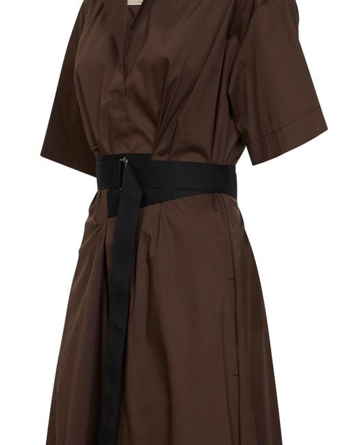 Blanca Vita Brown Chocolate Stretch Poplin Alzety Belted Midi Dress