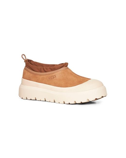 Ugg White Chestnut Tasman Weather Hybrid Sneakers for men