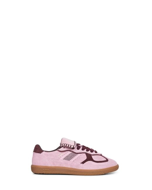 Alohas Pink Suede Tb.490 Club Sneakers