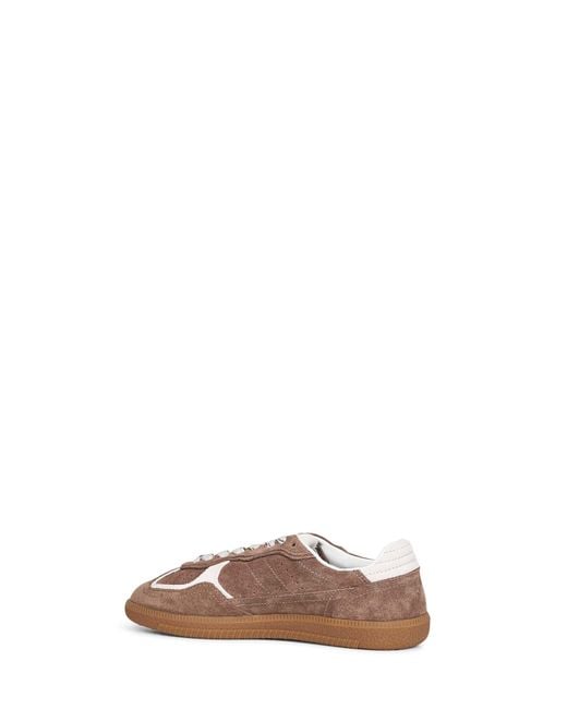 Alohas Brown Taupe Suede Tb.490 Sneakers