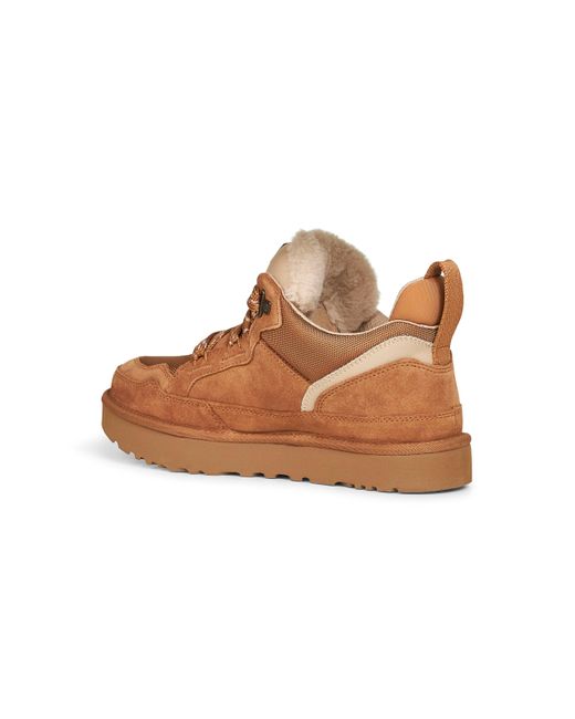 Ugg Brown Chestnut Lowmel Sneakers for men