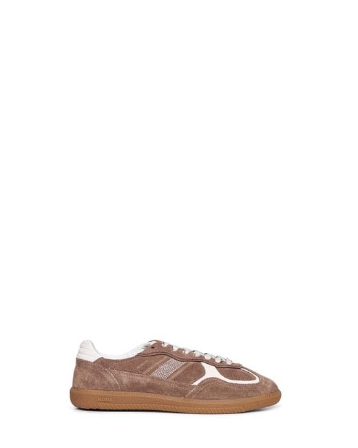 Alohas Brown Taupe Suede Tb.490 Sneakers