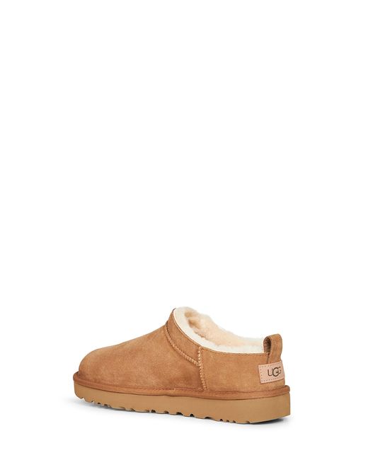 Ugg Brown Chestnut Classic Micro Mules