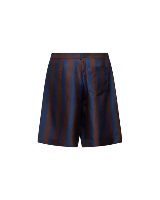 Fendi Blue And Pequin Silk Bermuda Shorts for men