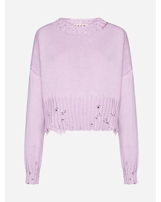 Marni Pink Cotton Cropped Sweater