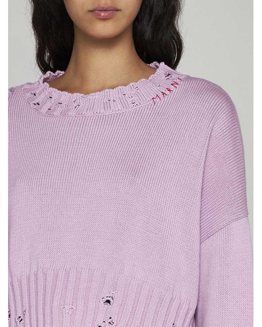 Marni Pink Cotton Cropped Sweater