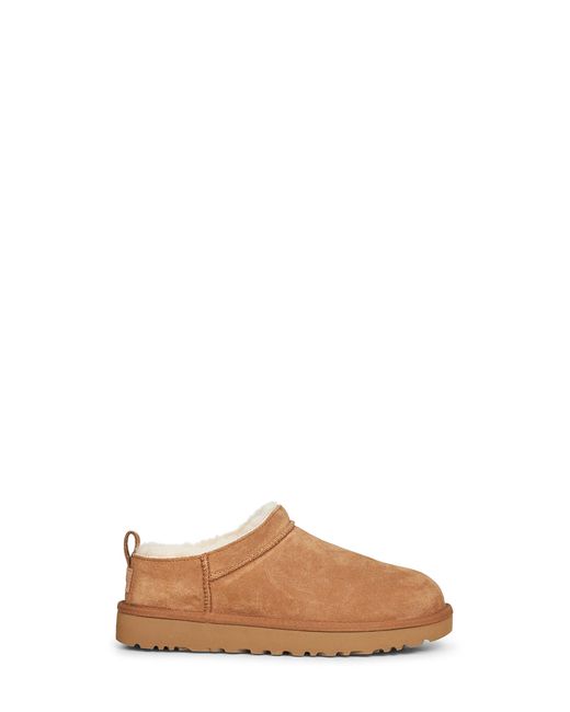 Ugg Brown Chestnut Classic Micro Mules