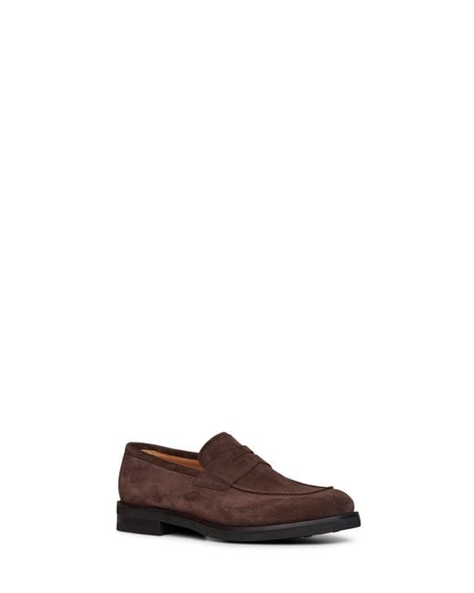 Ferragamo Brown Bark Suede Stefano Penny Loafers for men