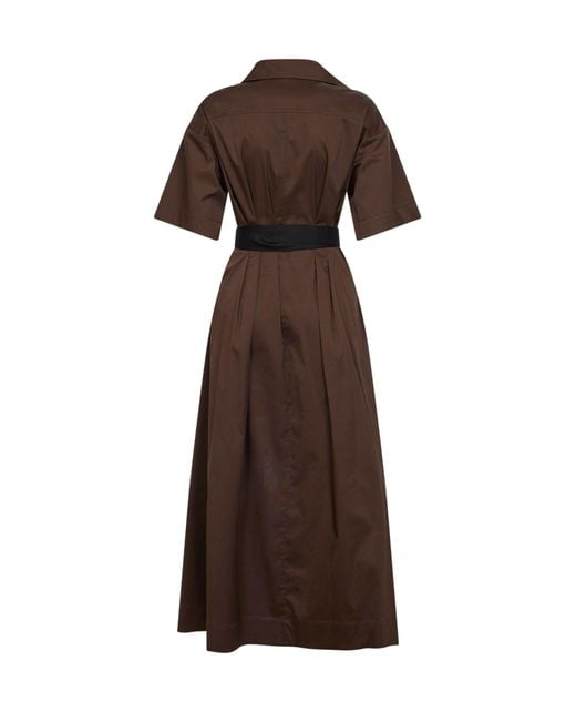 Blanca Vita Brown Chocolate Stretch Poplin Alzety Belted Midi Dress
