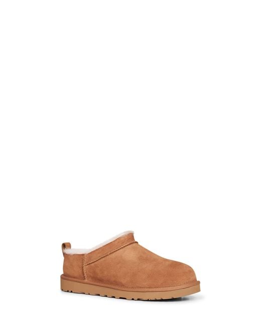 Ugg Brown Chestnut Classic Micro Mules for men