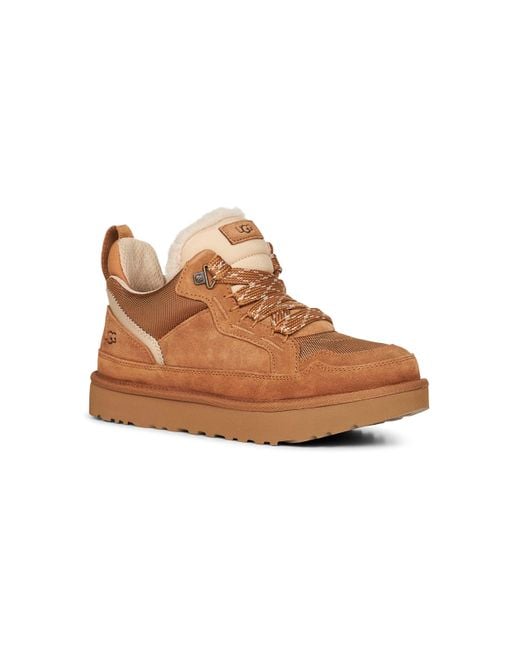 Ugg Brown Chestnut Lowmel Sneakers for men