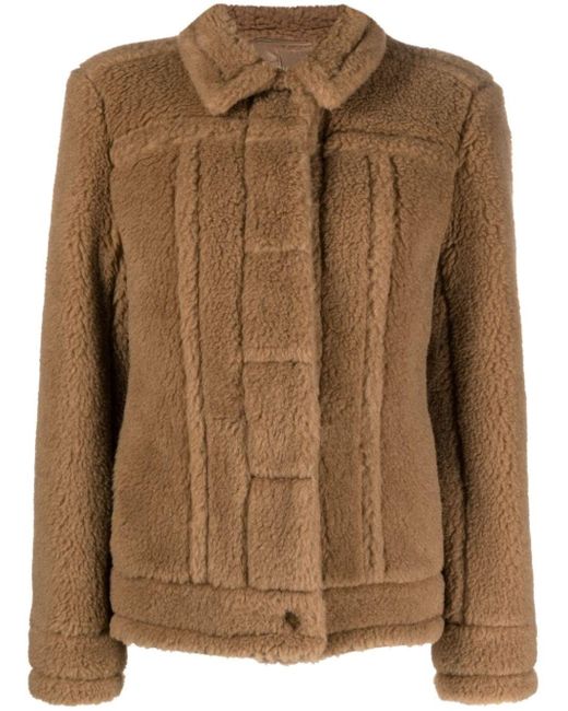 Max Mara Teddy Fabric Short Jacket in Brown | Lyst UK