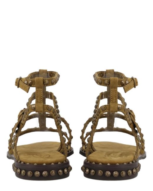 Ash Brown Studded Sandals