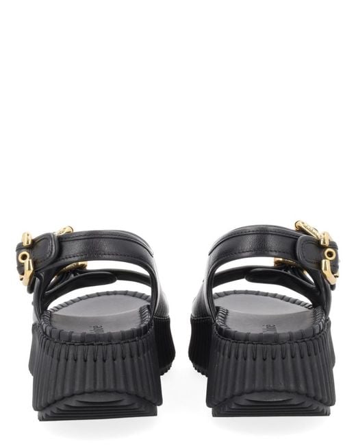 Chloé Black Solid Nama Sandals