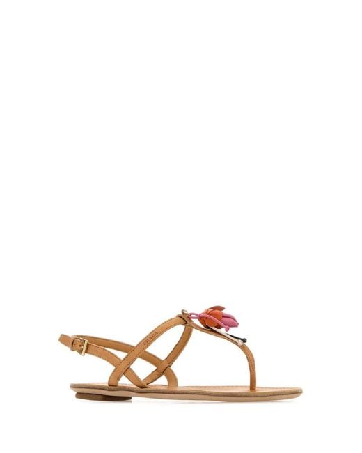 Prada Brown Thongs Sandals