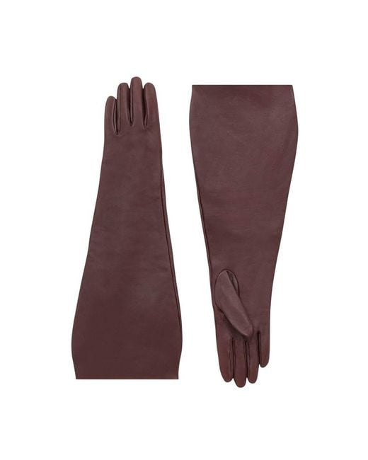 Saint Laurent Purple Solid Gloves