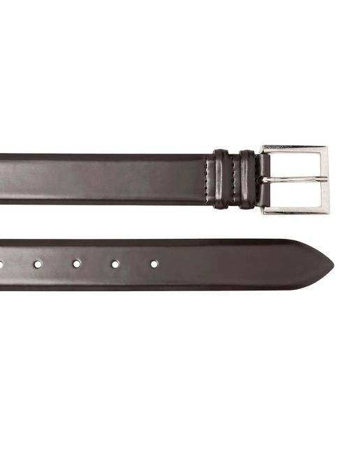 Orciani Black Solid Buckle Belt for men