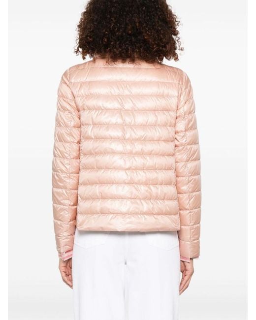 Herno Pink Coats