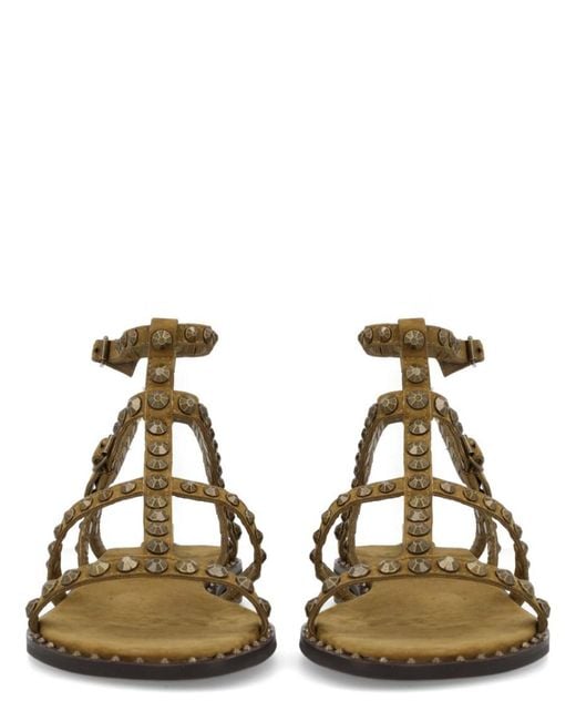 Ash Brown Studded Sandals