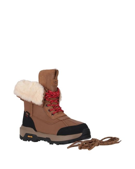 Ugg Brown Chestnut Solid Boots