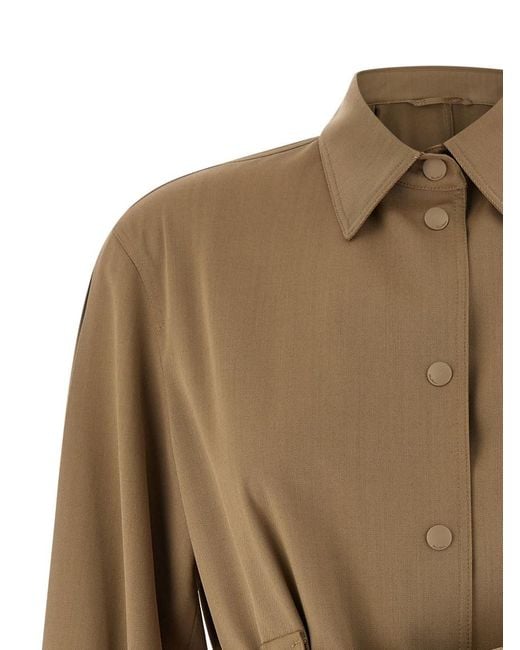 Max Mara Brown Regular Solid Shirt